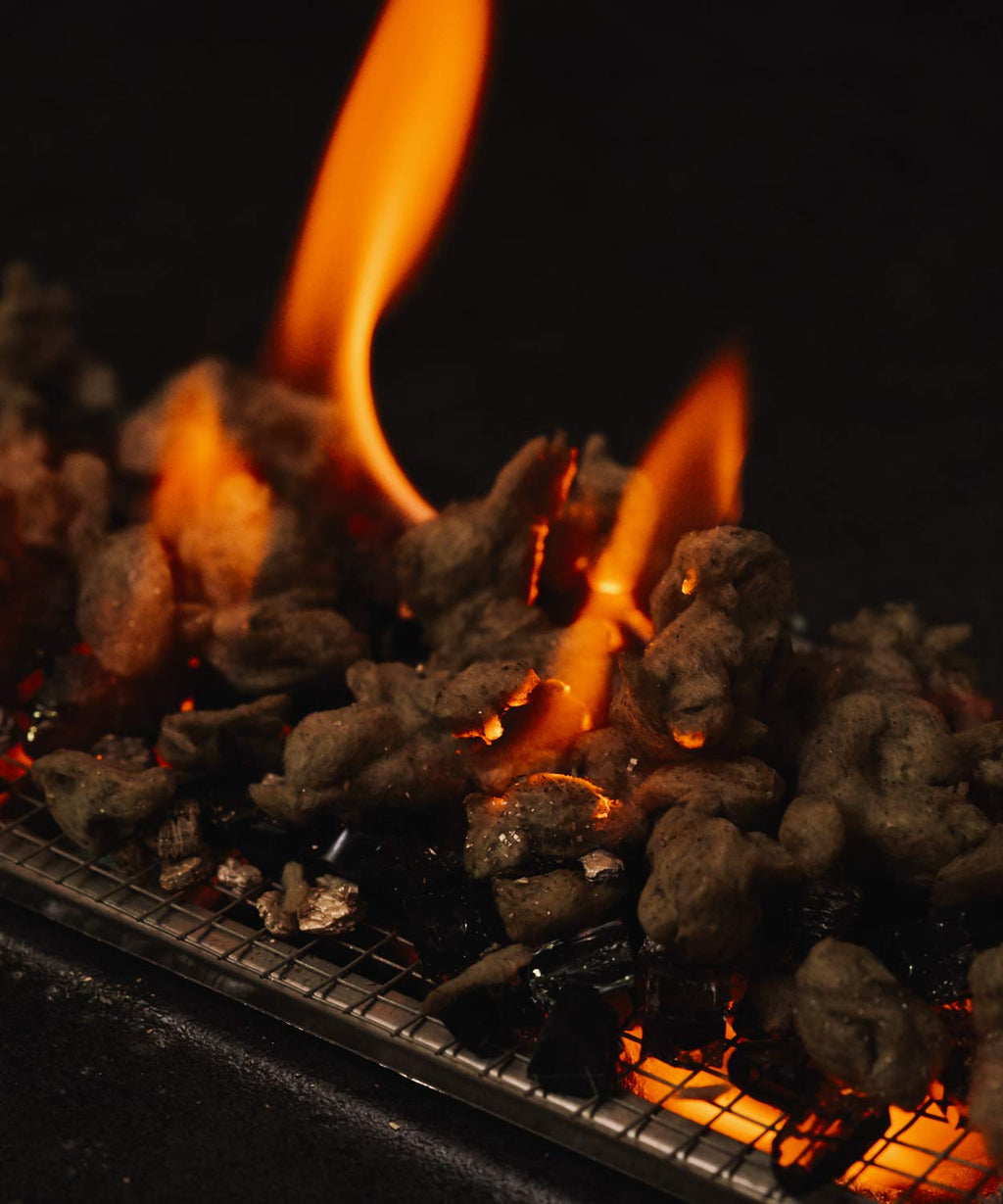 GASPRO Gas Fireplace Embers - 10 Oz. Glowing Embers for Ventless, Insert, Vented, Propane, Natural Gas Fireplaces - Realistic